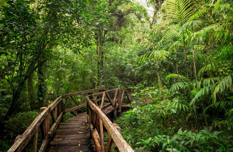 Mombacho Volcano Nature Reserve, Near Granada, Nicaragua